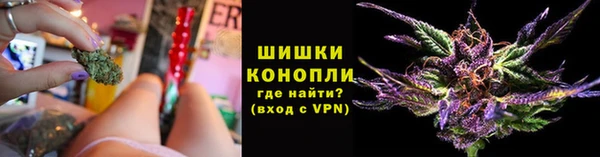 бутират Белокуриха