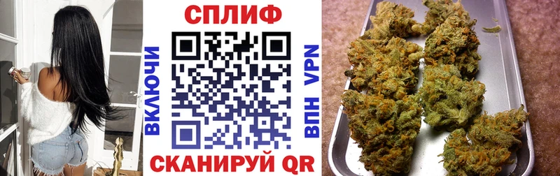 МАРИХУАНА ГИДРОПОН  блэк спрут ссылки  Волчанск 